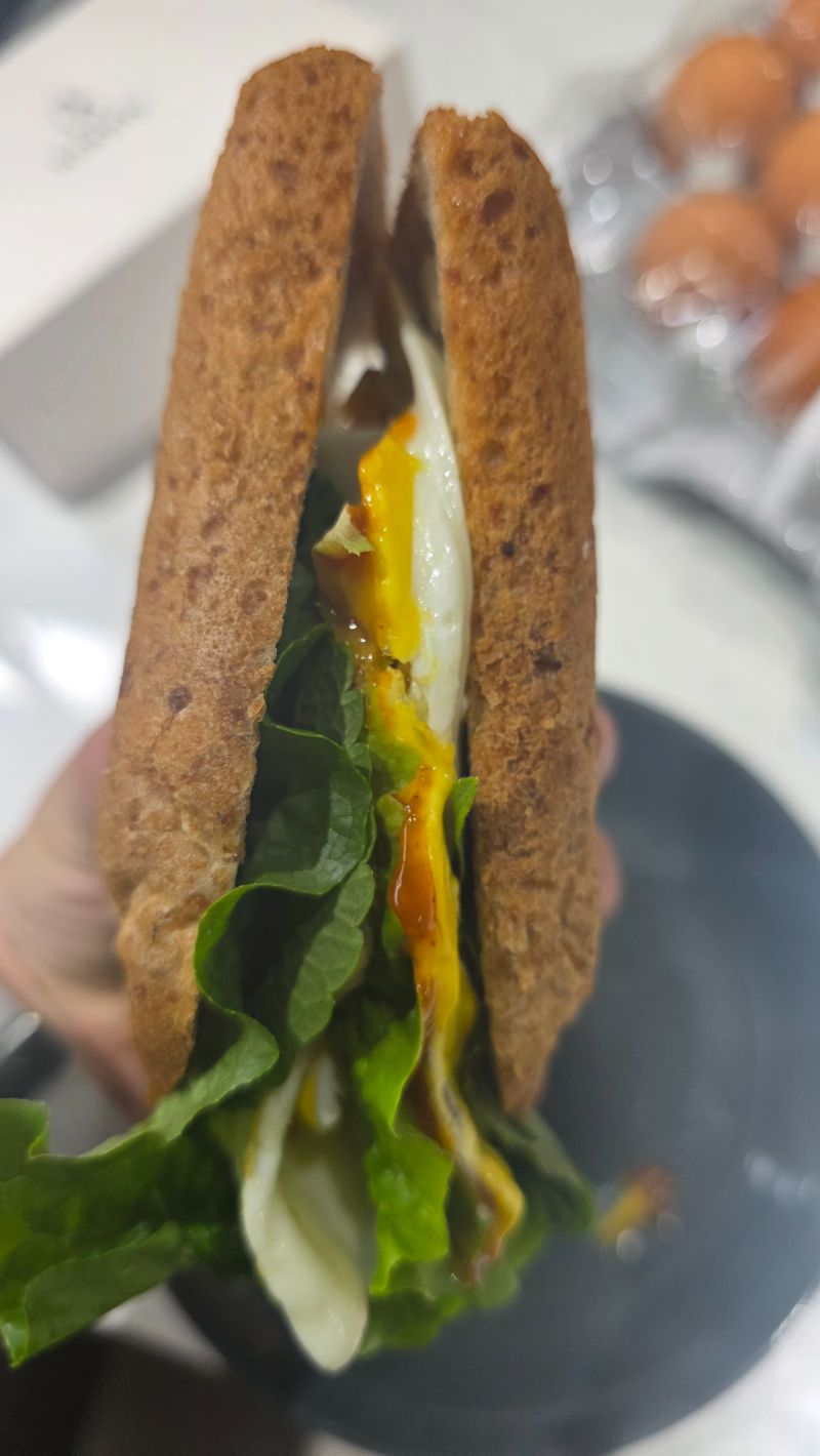 저녁 식단 사진