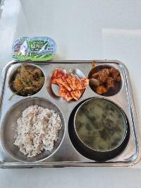 산모가 실제로 먹고 기록한 식판