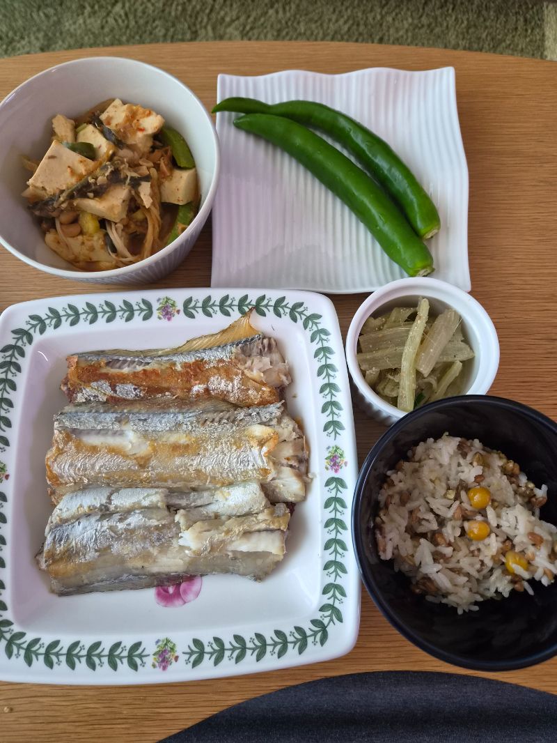 점심 식단 사진