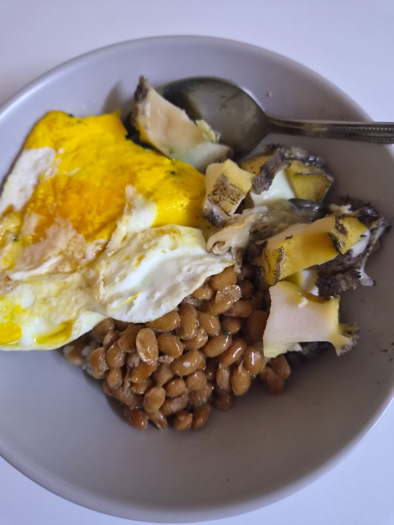 저녁 식단 사진