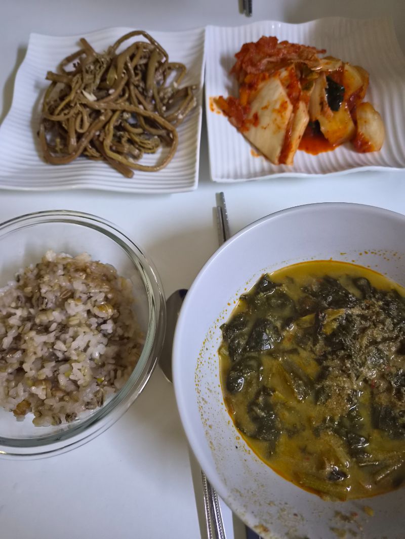 저녁 식단 사진