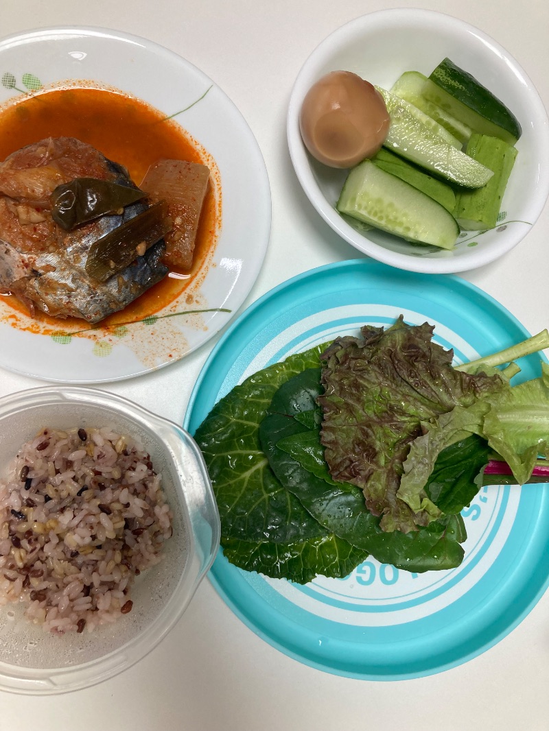 저녁 식단 사진