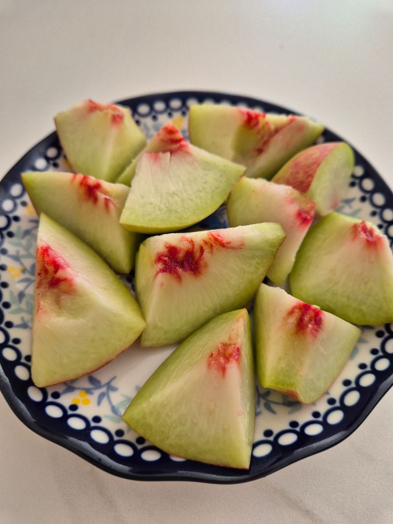 점심 식단 사진