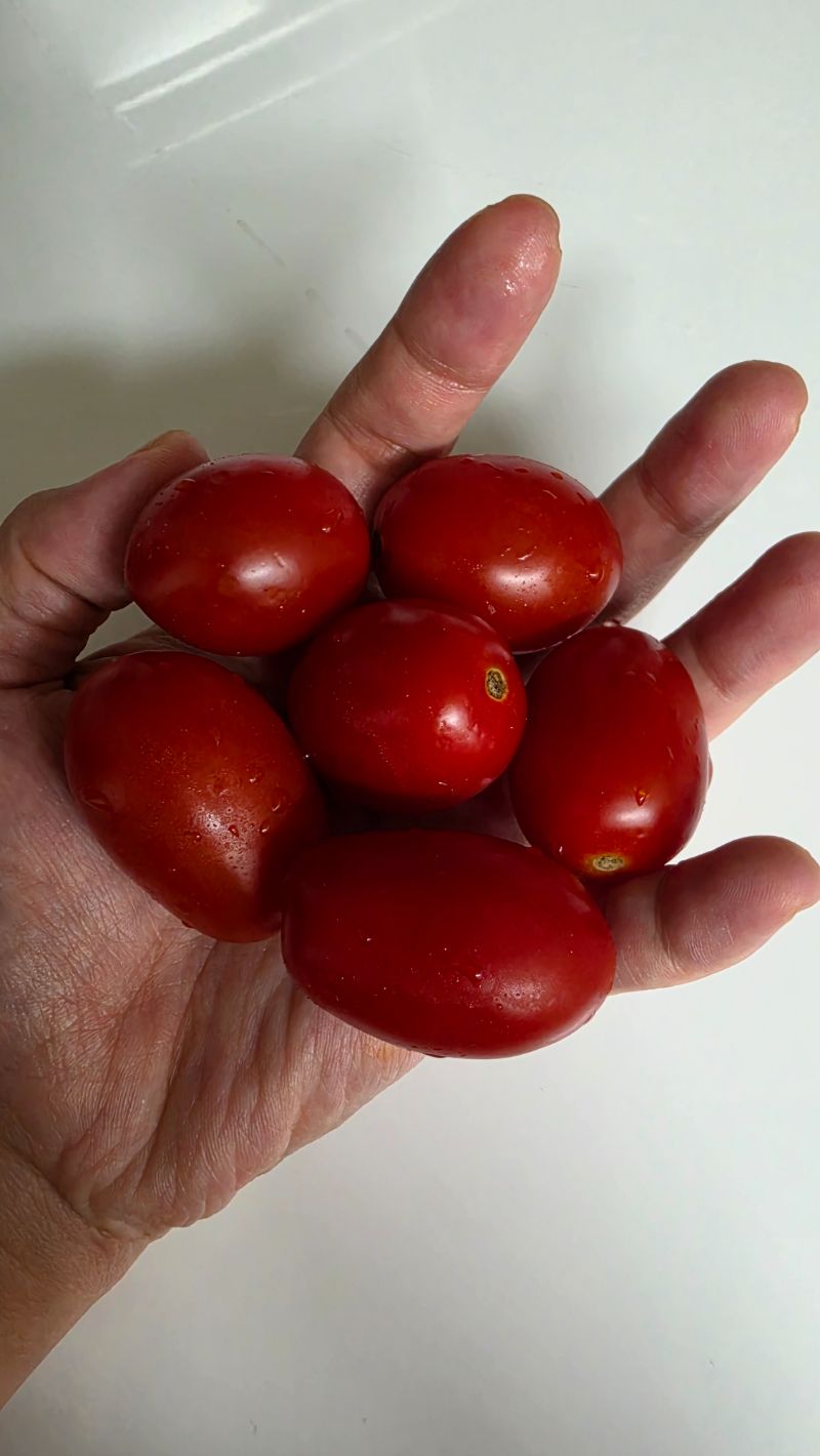 아침 식단 사진