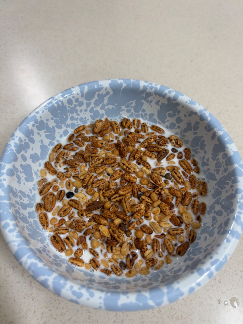 점심 식단 사진
