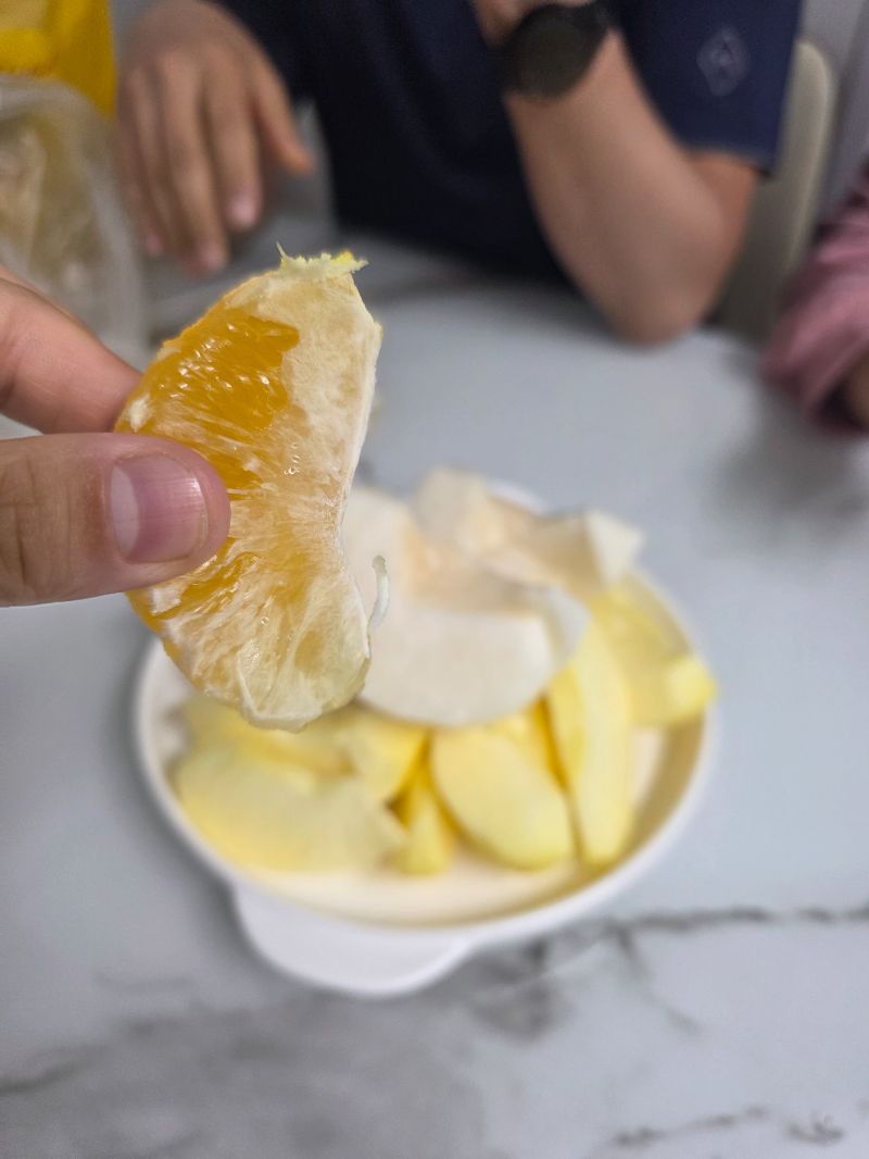 저녁 식단 사진